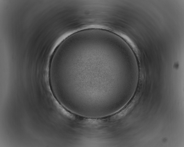 X0000100750910200806191141