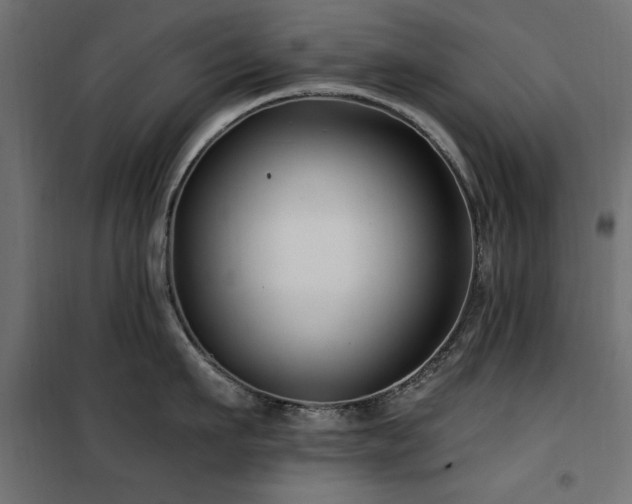 X0000100750911200806191140