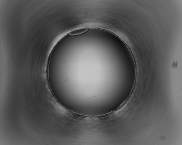 X0000100750912200806191140