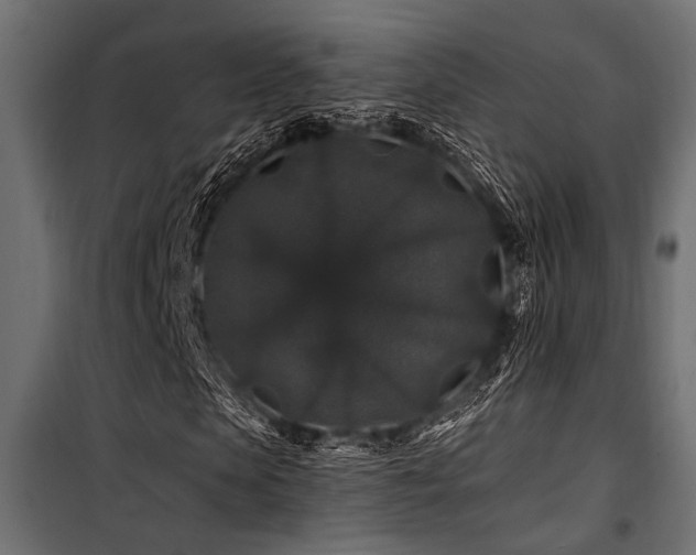 X0000100750913200806191140