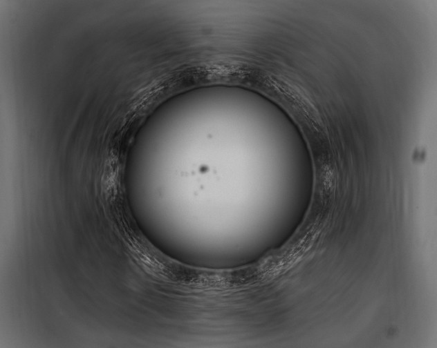 X0000100750914200806191140