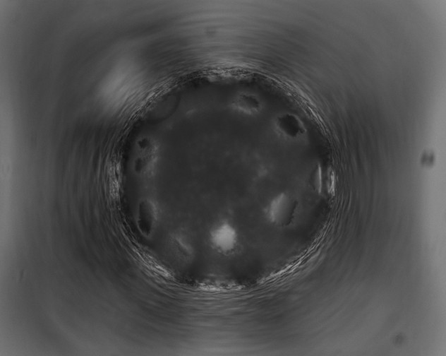 X0000100750915200806191140