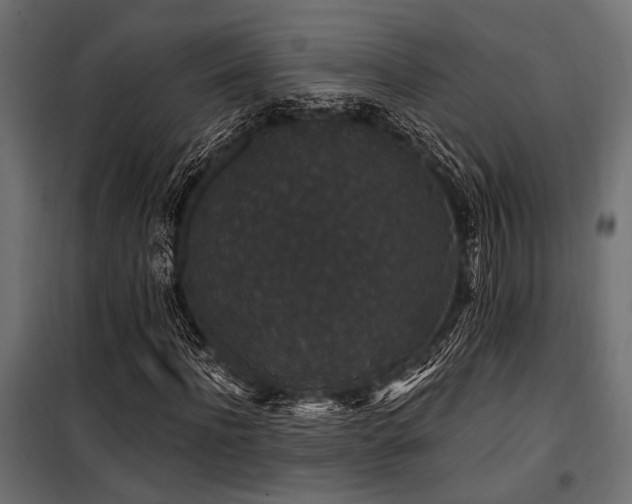 X0000100750916200806191140