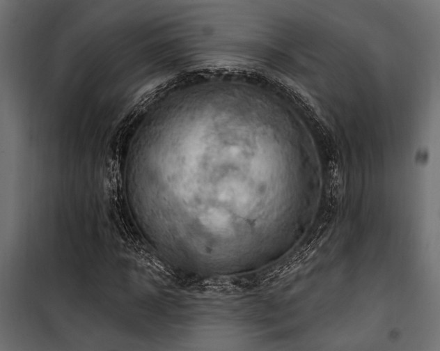 X0000100750918200806191140