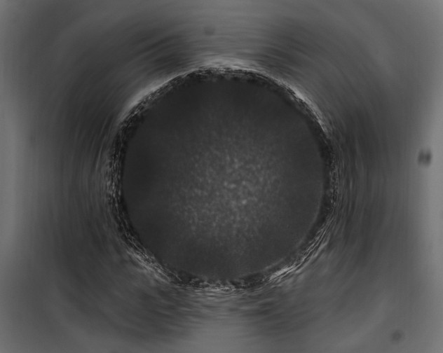 X0000100750919200806191140