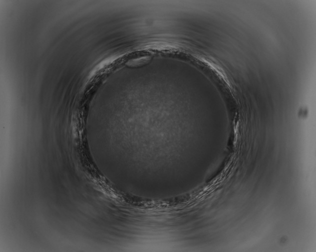 X0000100750920200806191140