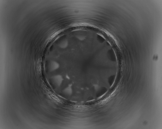 X0000100750921200806191140