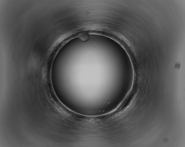 X0000100750922200806191140