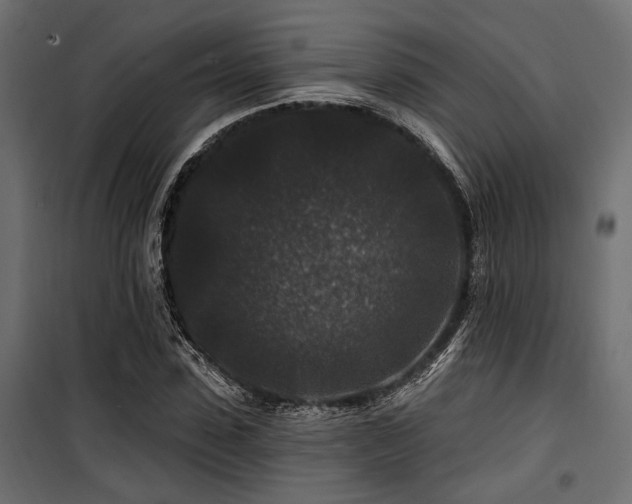 X0000100750923200806191140