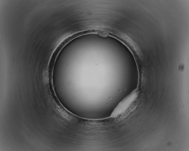 X0000100750924200806191140