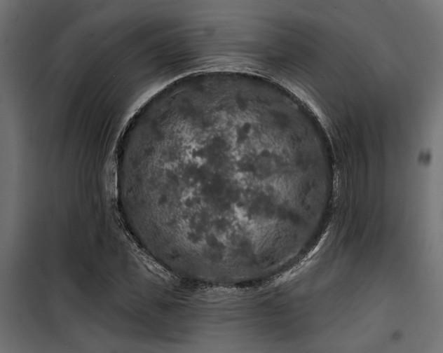 X0000100750925200806191140