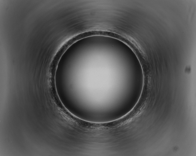 X0000100750926200806191140