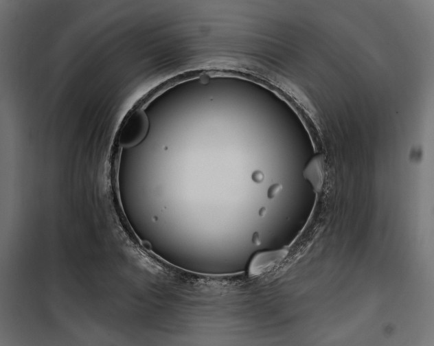 X0000100750928200806191140