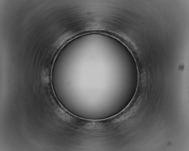 X0000100750929200806191140