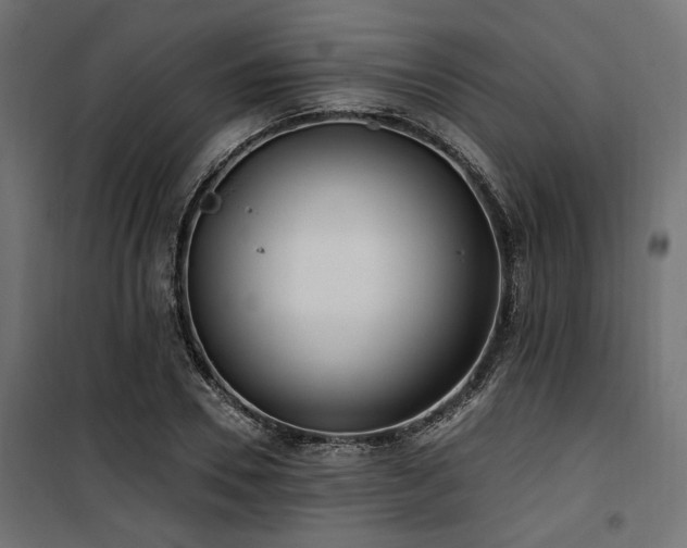 X0000100750930200806191140