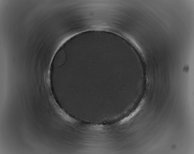 X0000100750932200806191140