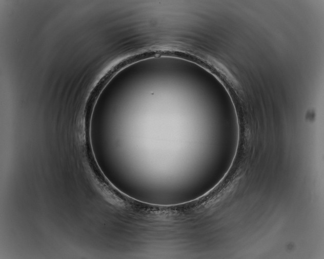 X0000100750934200806191140