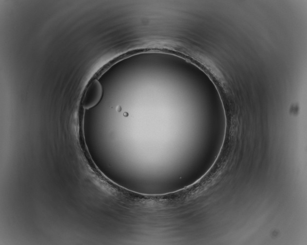 X0000100750936200806191140