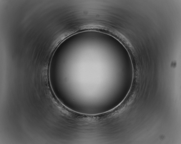 X0000100750937200806191140