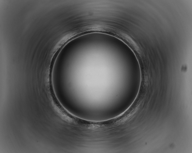 X0000100750938200806191140