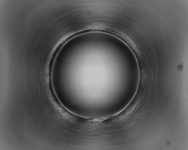 X0000100750939200806191140