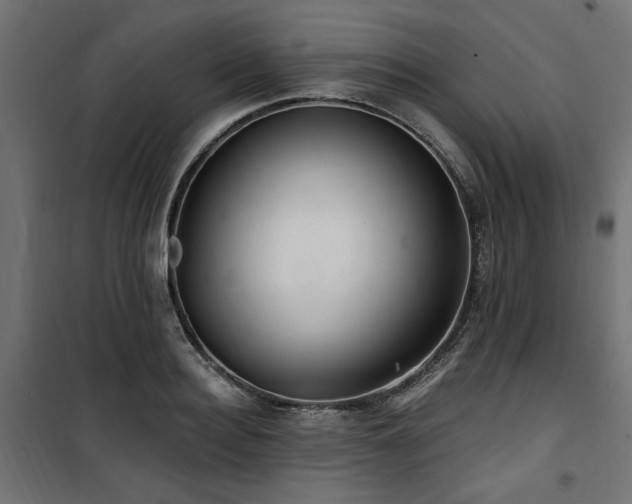 X0000100750940200806191140