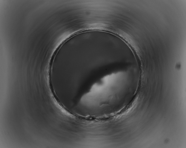 X0000100750941200806191140