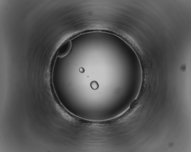 X0000100750942200806191140