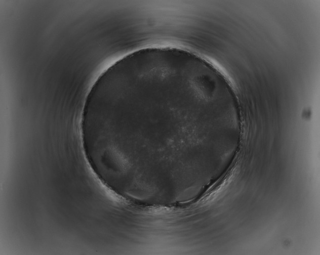 X0000100750943200806191140