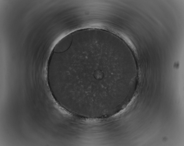 X0000100750944200806191140