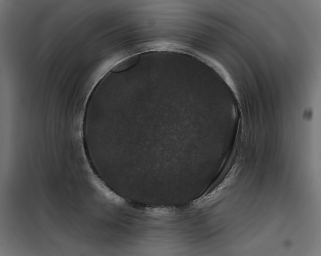 X0000100750946200806191140