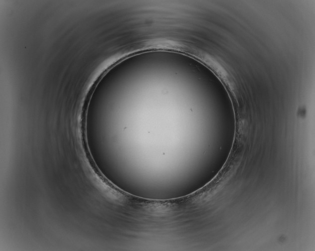 X0000100750947200806191140