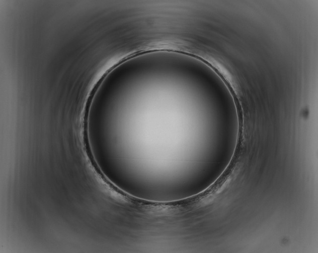 X0000100750949200806191140