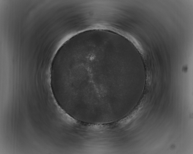 X0000100750950200806191140