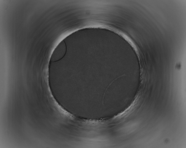 X0000100750951200806191140