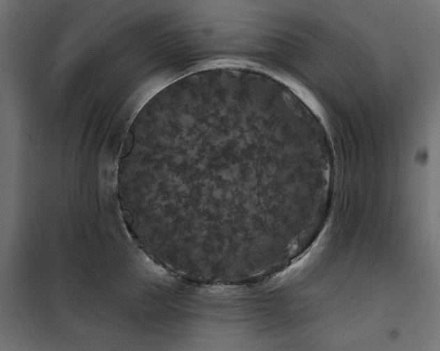 X0000100750953200806191140