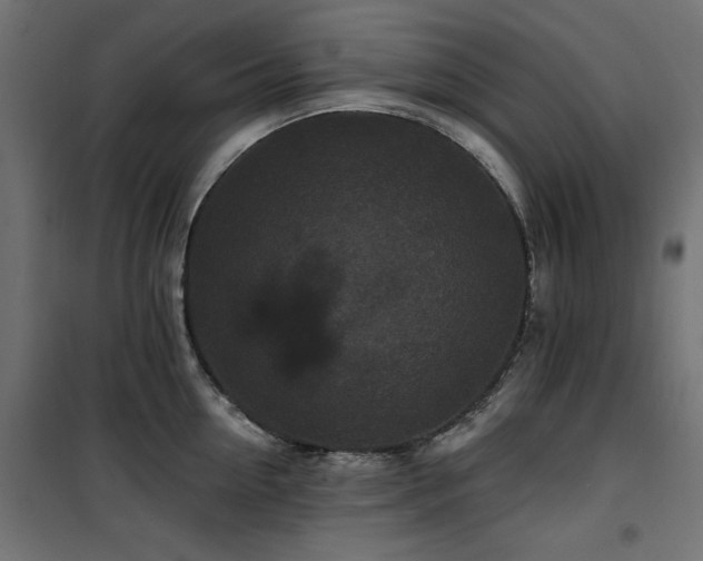 X0000100750954200806191140