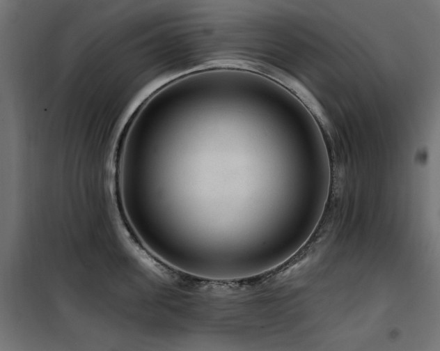 X0000100750955200806191140