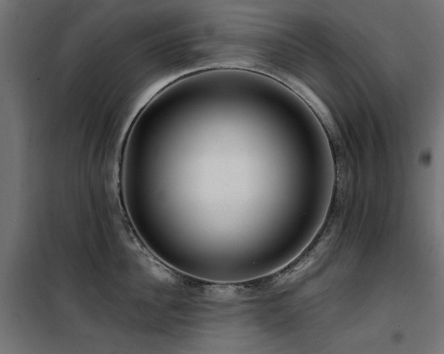 X0000100750956200806191140