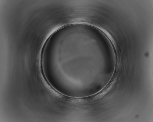 X0000100750957200806191140