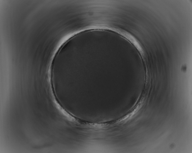 X0000100750958200806191140