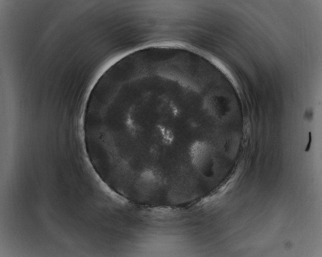 X0000100750959200806191140