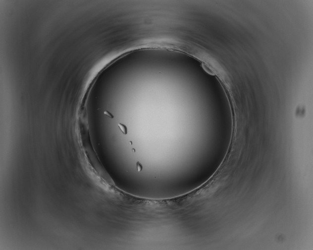 X0000100750960200806191140