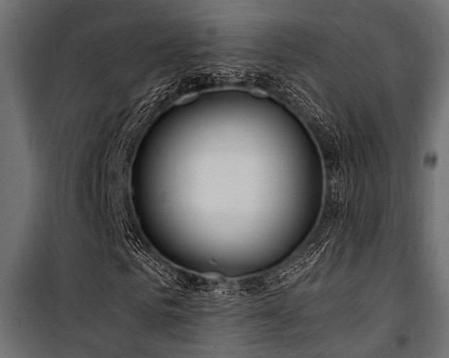 X0000100750961200806191140