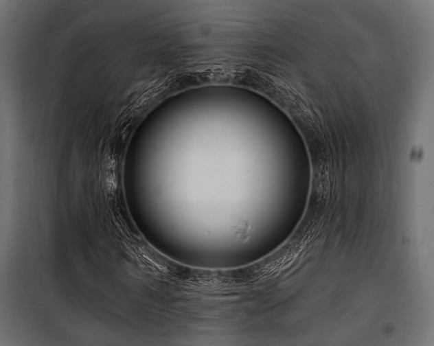 X0000100750962200806191140