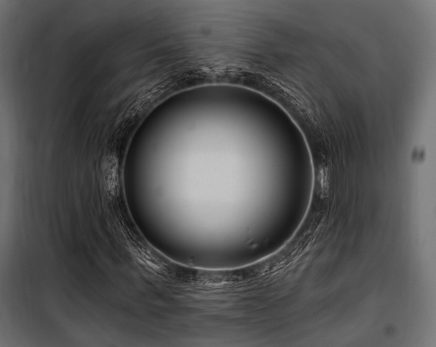 X0000100750963200806191140