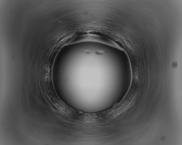 X0000100750964200806191140