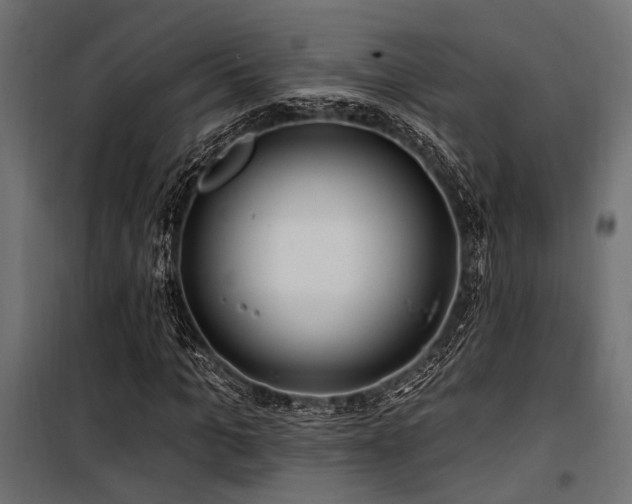 X0000100750965200806191140