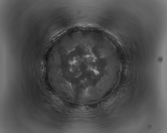 X0000100750966200806191140