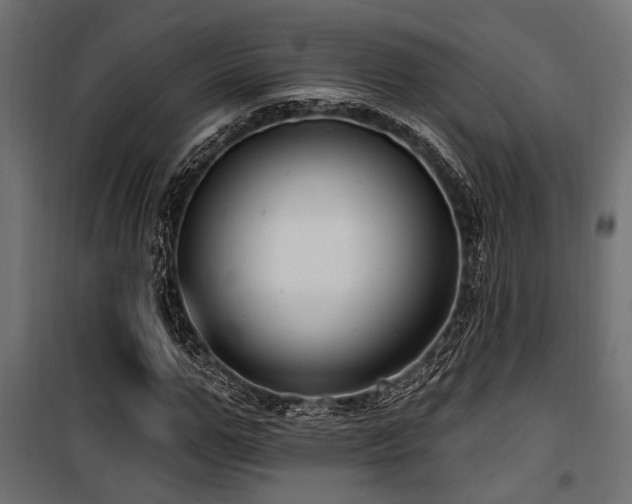 X0000100750967200806191140